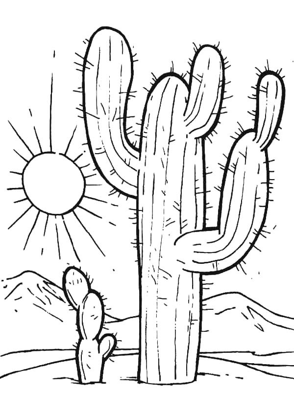 Free Printable Cactus Coloring Pages
 Cactus at Desert Sunset Coloring Pages Cactus at Desert