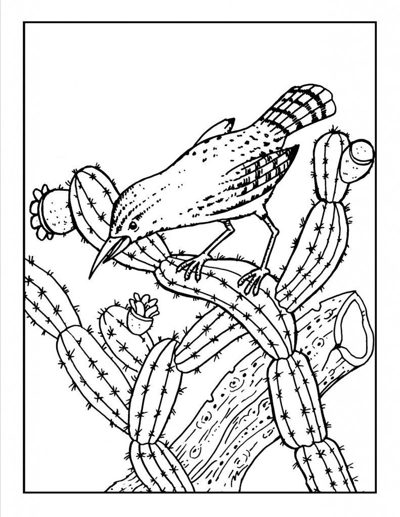 Free Printable Cactus Coloring Pages
 Free Printable Cactus Coloring Pages For Kids