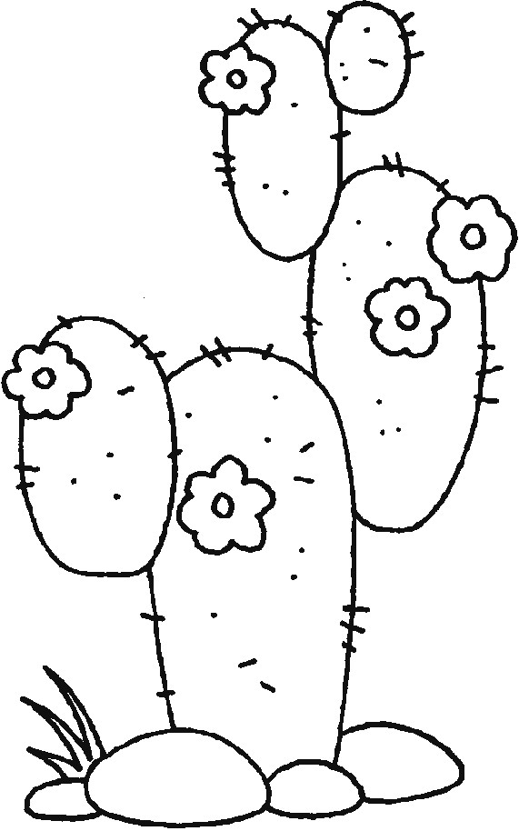 Free Printable Cactus Coloring Pages
 universul copiilor Imagini de colorat cactus