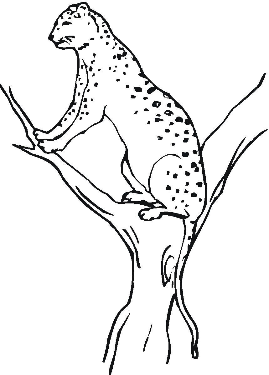 Free Printable Coloring Pages For Children
 Free Printable Cheetah Coloring Pages For Kids