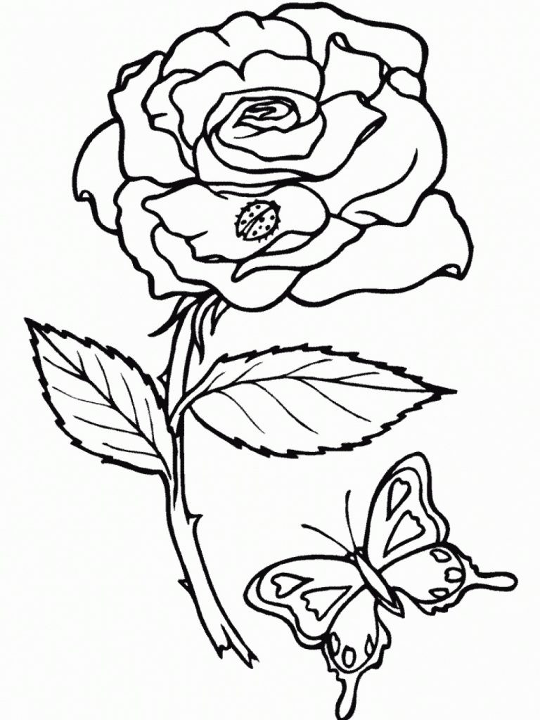 Free Printable Coloring Sheets For Toddlers
 Free Printable Roses Coloring Pages For Kids