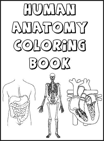 Free Printable Human Anatomy Coloring Pages
 Human Anatomy Coloring Book Download Club members can