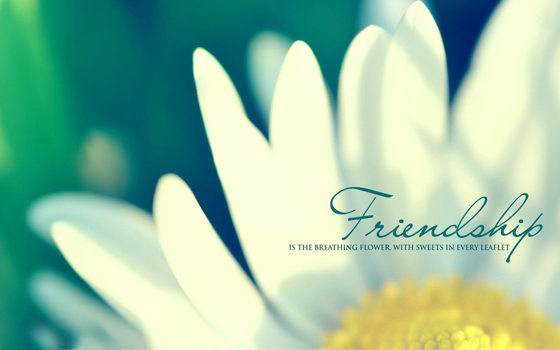 Friendship Quotes Wallpaper
 Quality Backgrounds Quotes QuotesGram