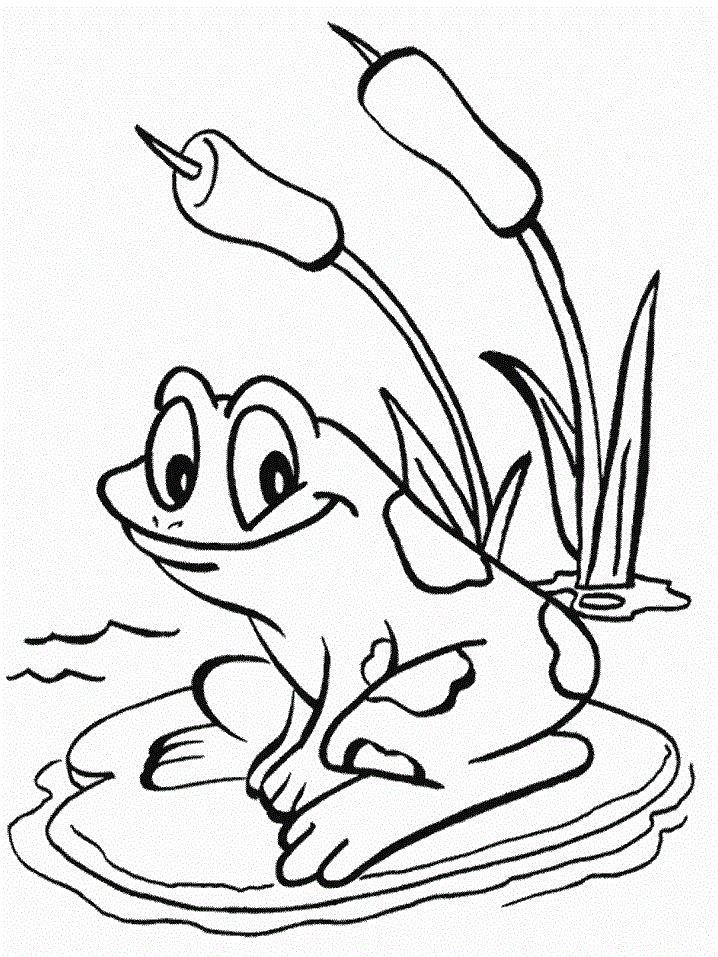 Frog Coloring Pages For Kids
 17 Best images about Frogs on Pinterest