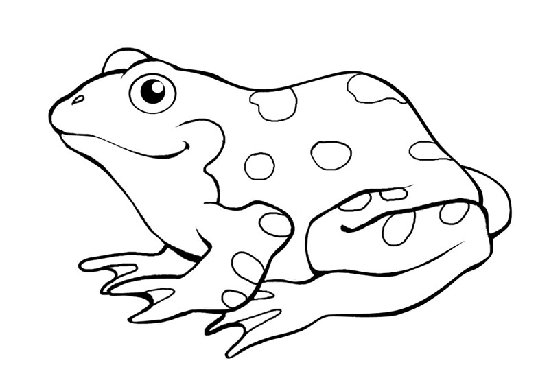 Frog Coloring Pages For Kids
 printable frog colouring pages for preschoolers
