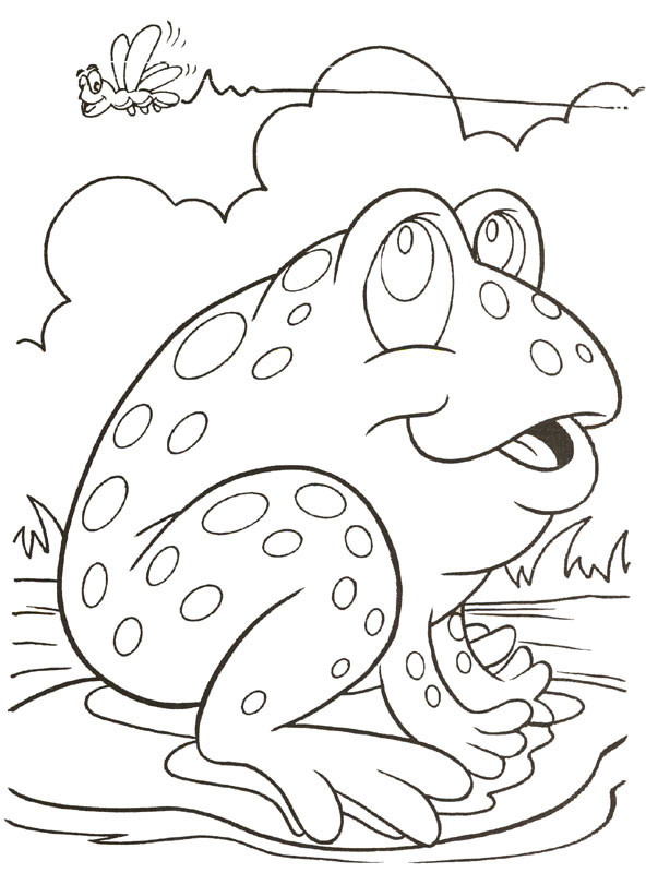 Frog Coloring Pages For Kids
 Coloring Pages for Kids Frog Coloring Pages