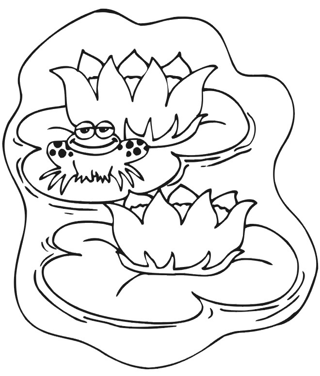 Frog Coloring Pages For Kids
 Frog Animal Coloring Pages For Kids