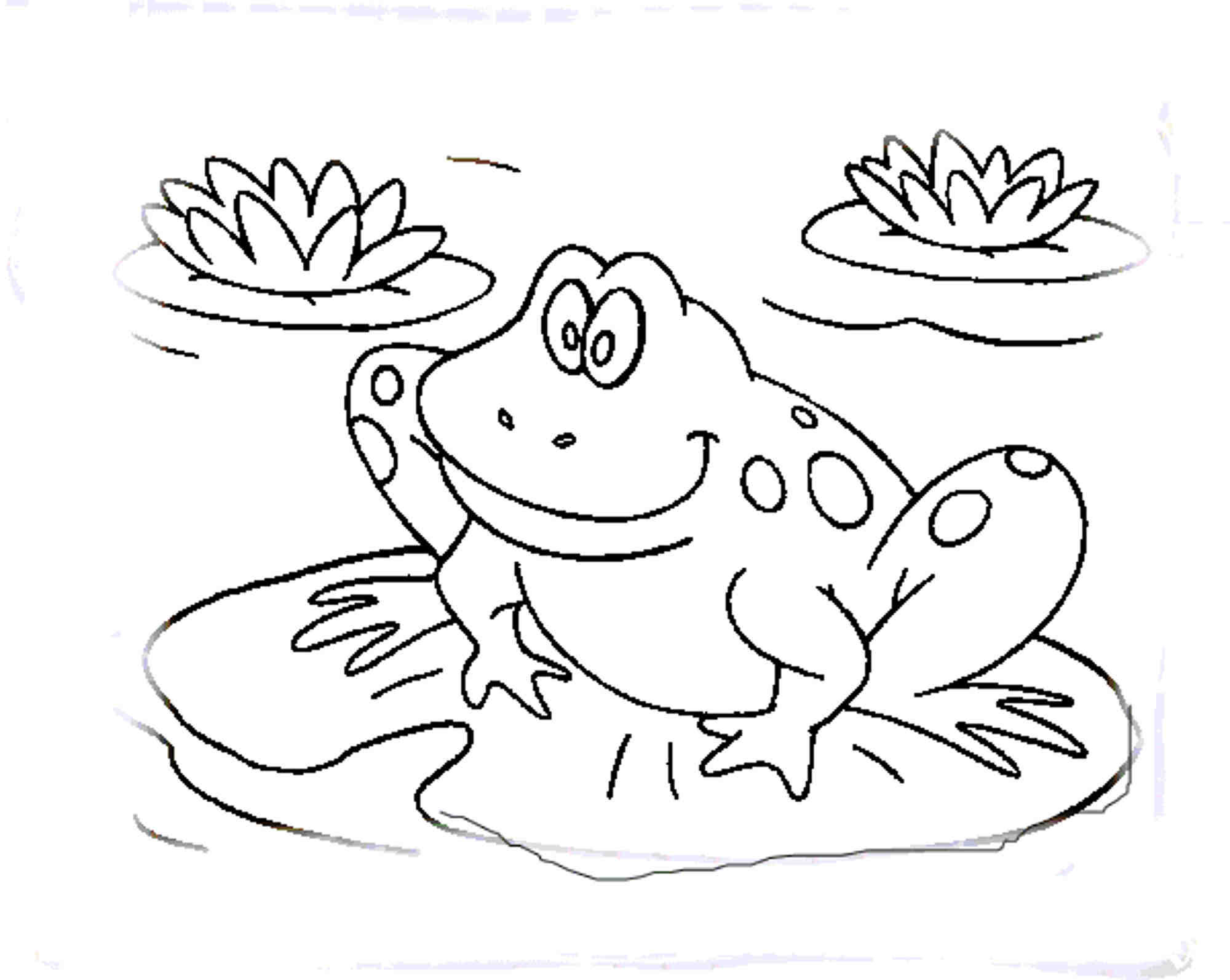 Frog Coloring Pages For Kids
 Print & Download Frog Coloring Pages Theme for Kids