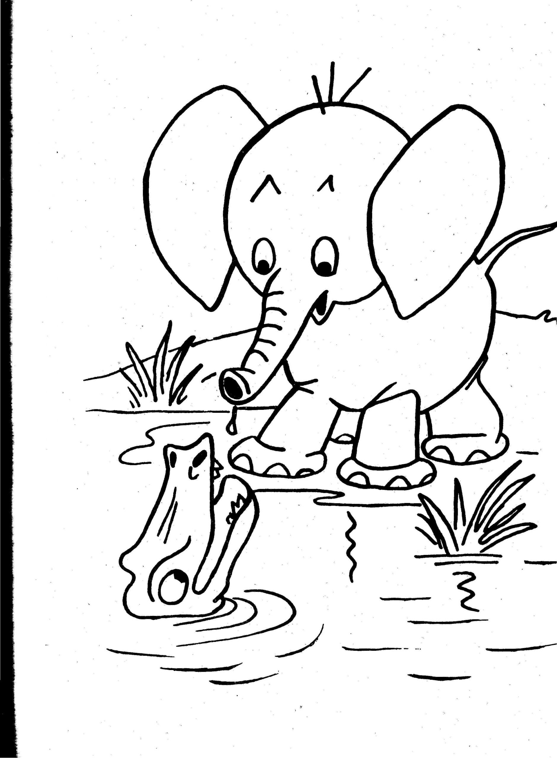 Fun Printable Coloring Pages
 Free Printable Elephant Coloring Pages For Kids