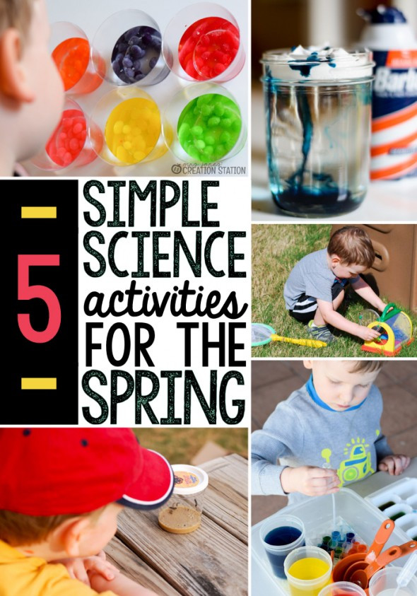 Fun Projects For Preschoolers
 5 Spring science activities The Measured Mom