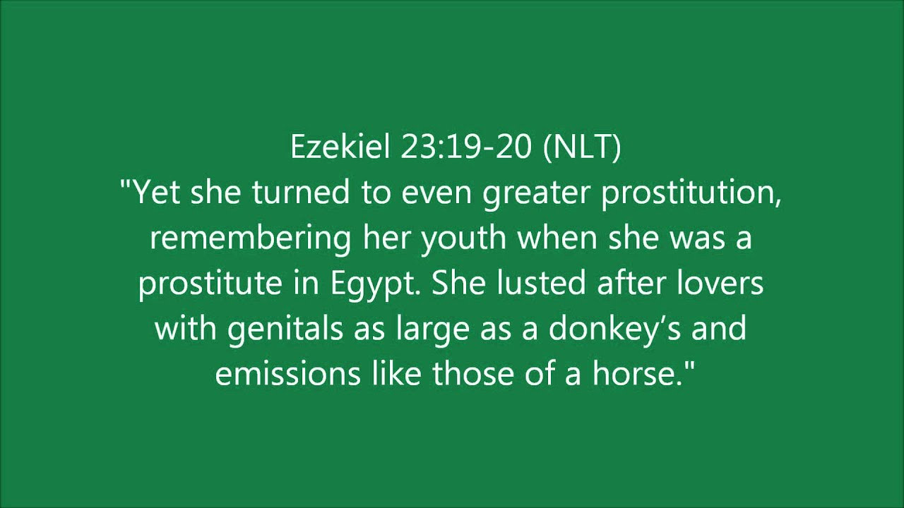 Funny Bible Quotes
 More Funny Bible Verses