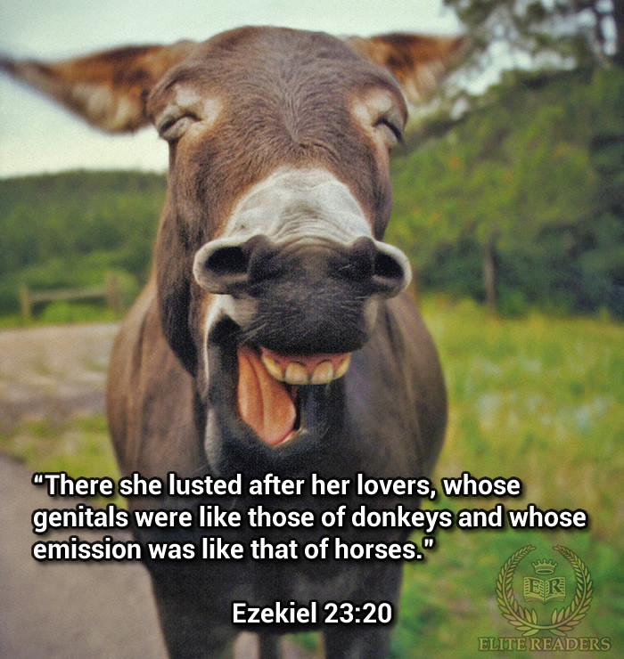 Funny Bible Quotes
 11 Most Outrageous Bible Verses That Will Surely Make You