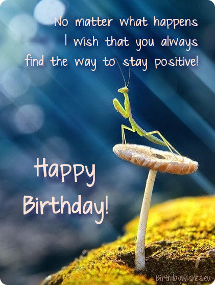 Funny Birthday Cards For Facebook Wall
 Top 30 Birthday Wishes For Friend Wall