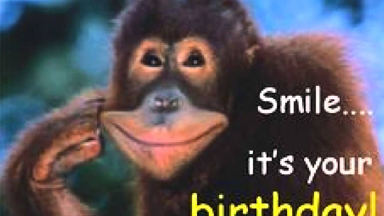 Funny Birthday Picture Quotes
 funny birthday quotes