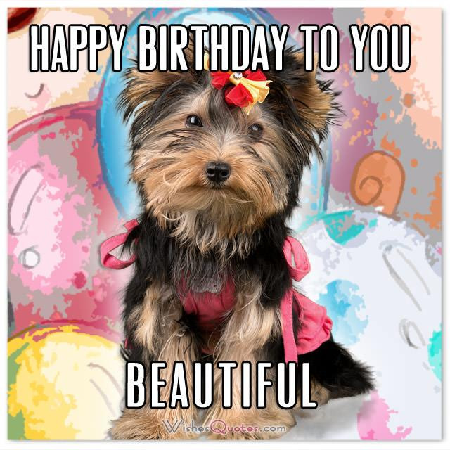 Funny Birthday Wishes For Her
 The Funniest and most Hilarious Birthday Messages and Cards