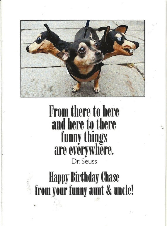 Funny Birthday Wishes For Nephew
 Items similar to Happy Birthday Funny Nephew Dog Dogs
