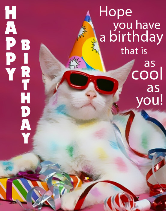 Funny Birthday Wishes Pictures
 Happy Birthday Funny Birthday eCards and Gifs