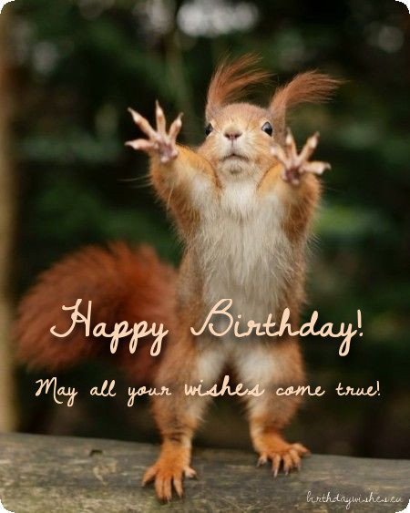 Funny Birthday Wishes Pictures
 Top 50 Funny Birthday Wishes For Friend And Humorous