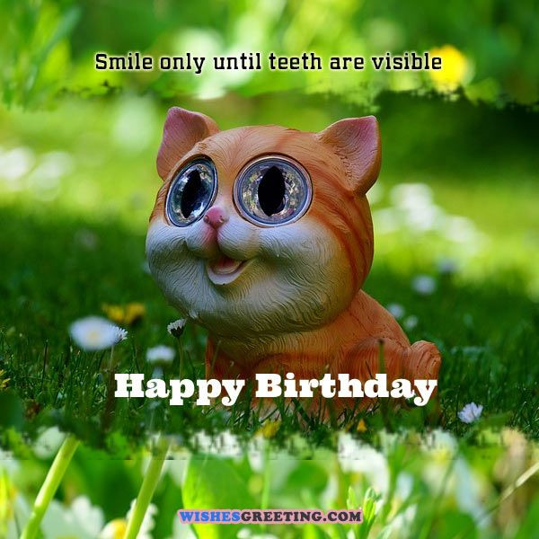 Funny Birthday Wishes Pictures
 105 Funny Birthday Wishes and Messages