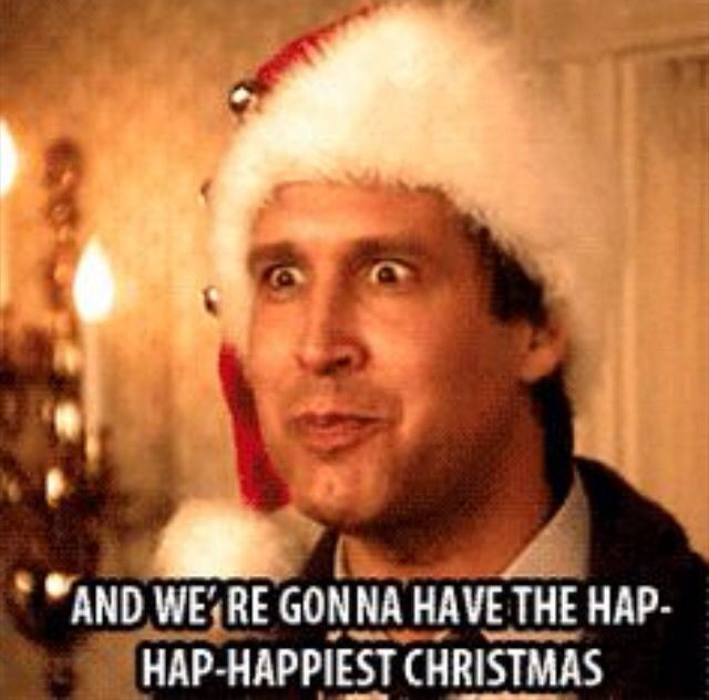 21 Best Ideas Funny Christmas Vacation Quotes  Home, Family, Style and