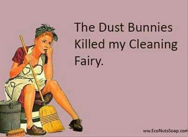 Funny Clean Quotes
 Funny Quotes About Cleaning QuotesGram