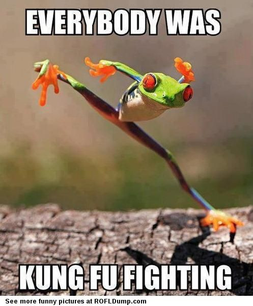 Funny Fight Quotes
 Funny Kung Fu Grasshopper Quotes QuotesGram