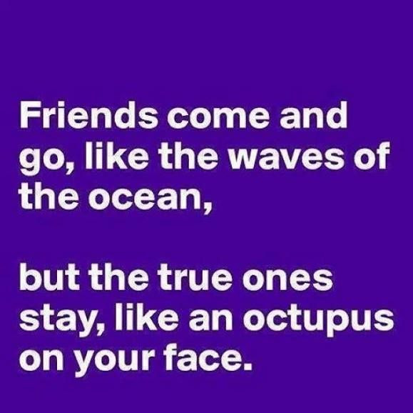 Funny Friendship Quotes
 The 27 Best Funny Friendship Quotes All Time