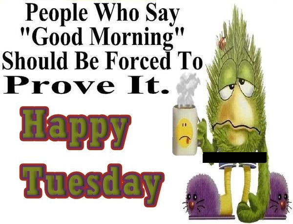 Funny Good Morning Quotes
 Funny Good Morning Quote For Tuesday s and