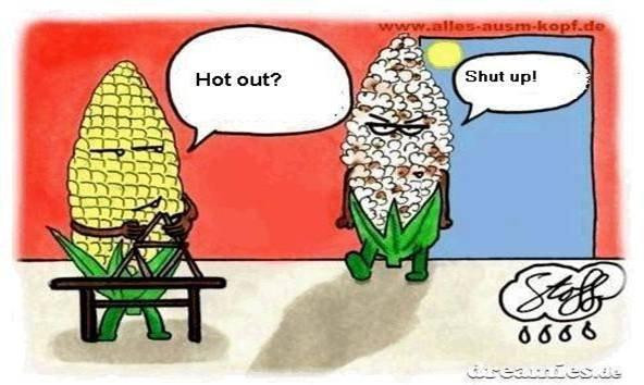 Funny Hot Weather Quotes
 FUNNY QUOTES HOT SUMMER WEATHER image quotes at relatably