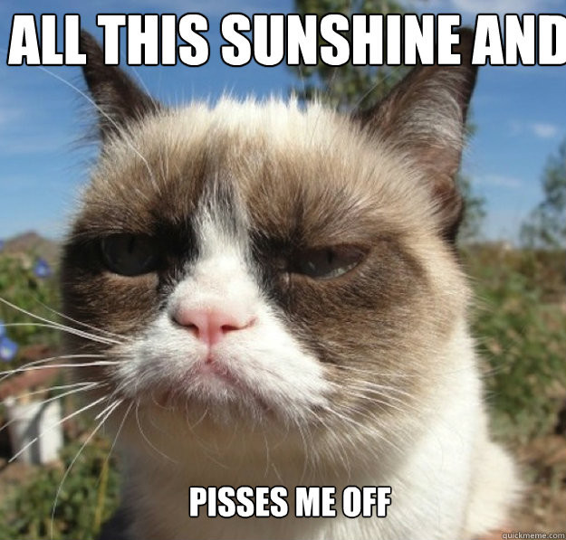 Funny Hot Weather Quotes
 22 Hot Weather Memes That ll Help You Cool Down