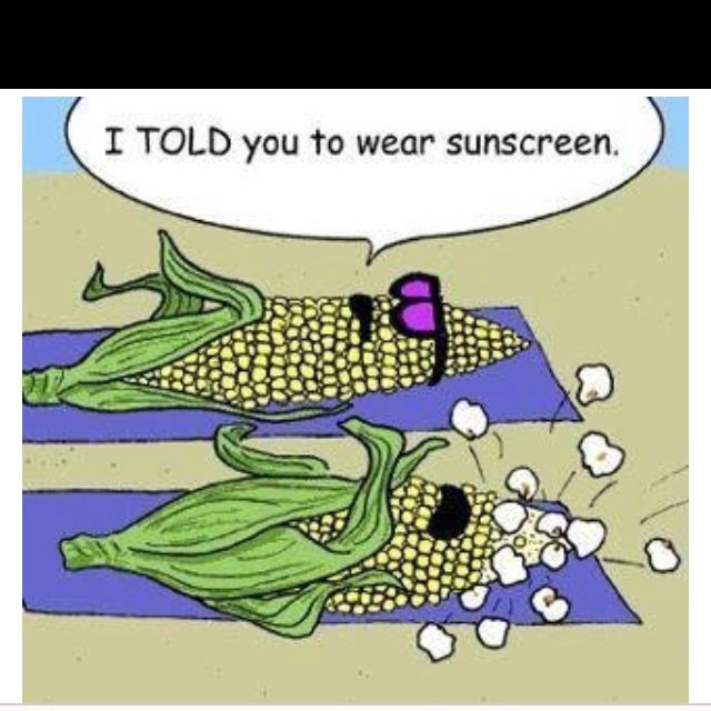Funny Hot Weather Quotes
 Hot weather funny Funnies Pinterest