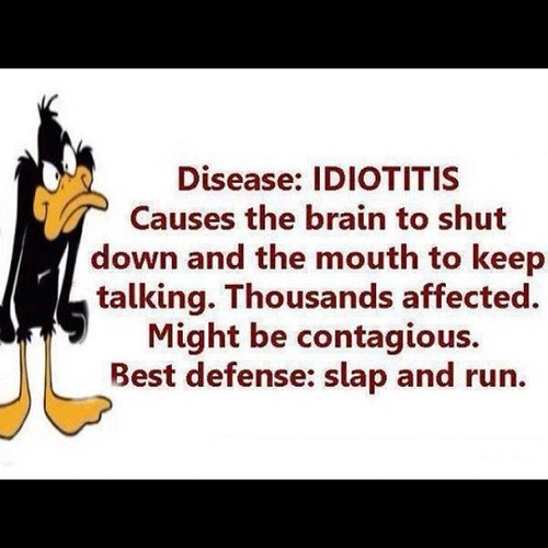 Funny Quotes About Stupid People
 Funny Quotes Daffy Duck QuotesGram