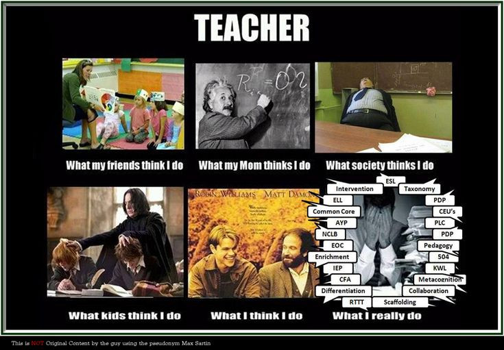 Funny Teaching Quotes
 funny teacher quotes