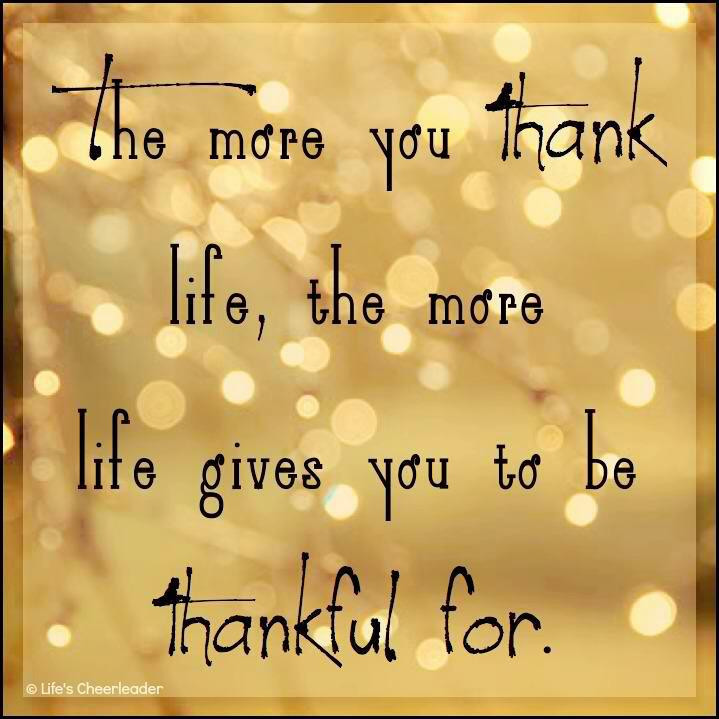 Funny Thankful Quotes
 Funny Quotes Being Thankful QuotesGram