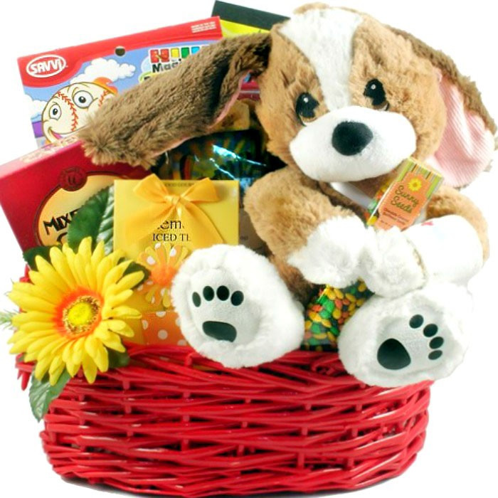 Get Well Gifts For Child
 TLC Get Well Basket for Kids