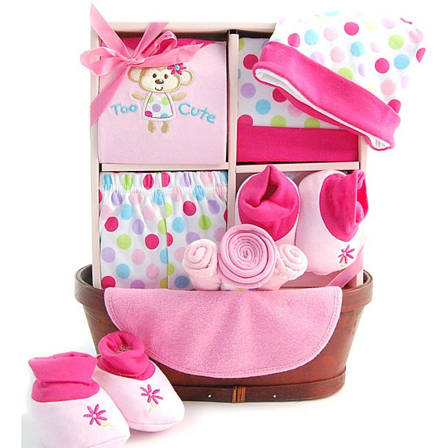 Gift Baskets For New Baby Girl
 Shop Sweet Baby Girl Gift Basket Free Shipping Orders