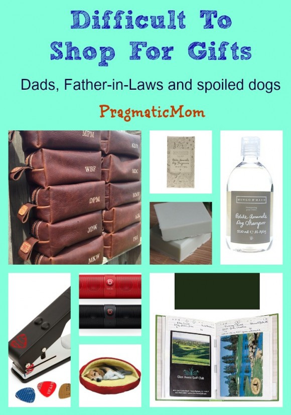 Gift Ideas Father In Law
 Father in Law t ideas PragmaticMom