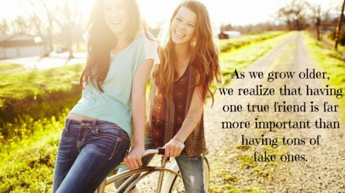 Girl Friendship Quote
 50 Best Friend Quotes for Girls