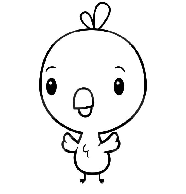 Girls Are Not Chicks Coloring Book
 Baby Chick Outlines – Happy Easter 2018