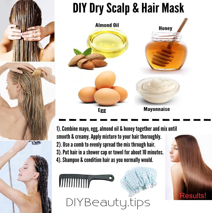 Hair Mask For Dry Hair DIY
 DIY Dry Scalp & Hair Mask