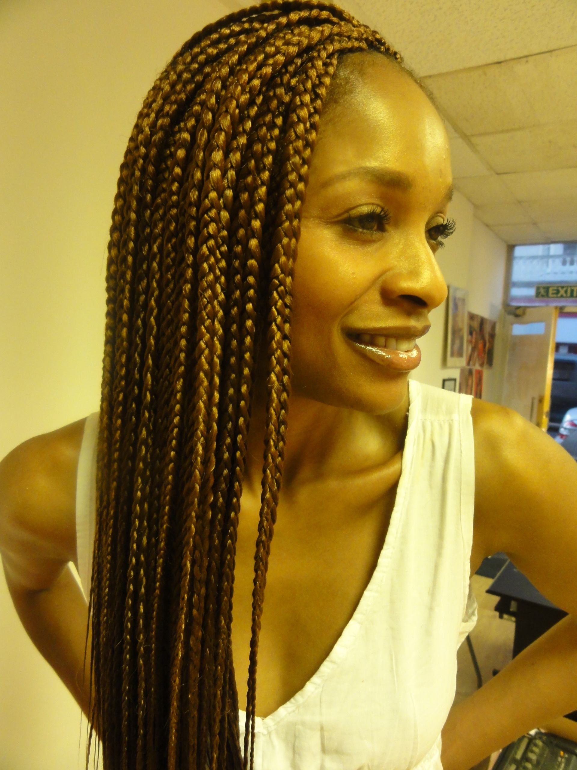 Hairstyles For Braids
 Individual Braids Hairstyles For Black Women
