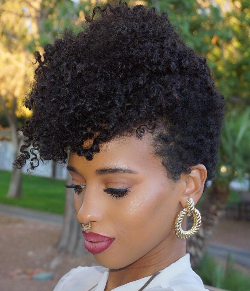 Hairstyles For Natural Short Hair
 40 Cute Tapered Natural Hairstyles for Afro Hair
