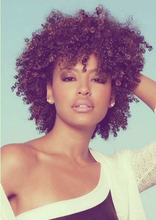 Hairstyles For Natural Short Hair
 African American Hairstyles Trends and Ideas Hairstyles