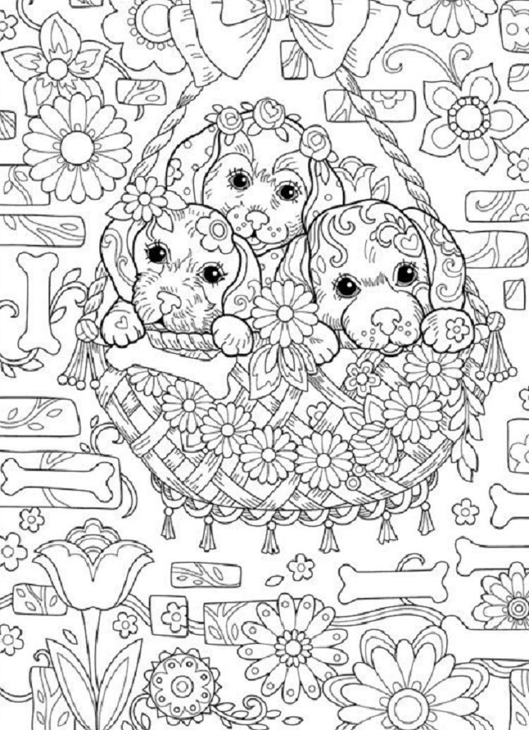 Hard Coloring Pages Printable
 Puppy Coloring Pages Hard Coloring Pages