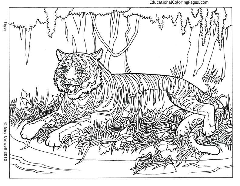 Hard Kids Coloring Pages
 6561 ide coloring pages for adults difficult animals 20