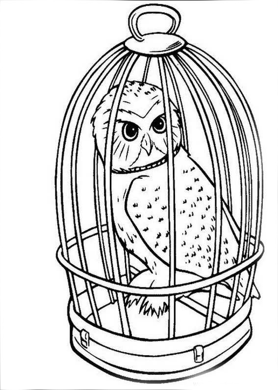 Harry Potter Coloring Pages For Kids
 Harry Potter Coloring Pages to and print for free