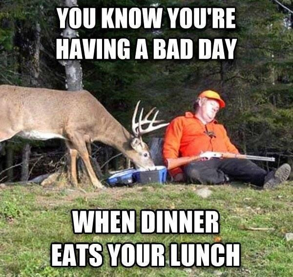 Having A Bad Day Quotes Funny
 You know you re having a bad day when dinner eats your