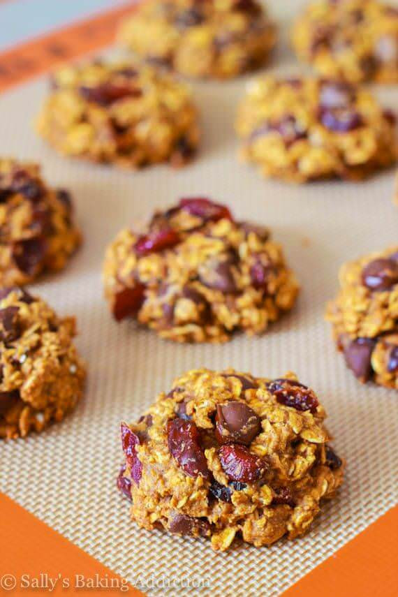 Healthy Pumpkin Oatmeal Cookies
 70 Cranberry Recipes Julie s Eats & Treats