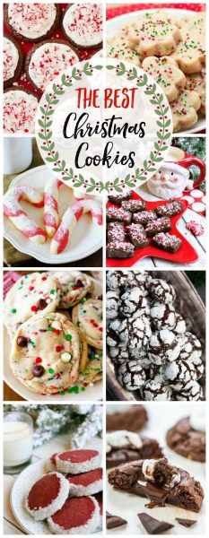 Holiday Baking Ideas Christmas
 The Best Christmas Cookie Recipes and 200 Other