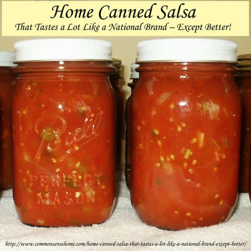 Homemade Salsa Recipe For Canning
 Home Canned Salsa Recipe That Tastes a Lot Like a National